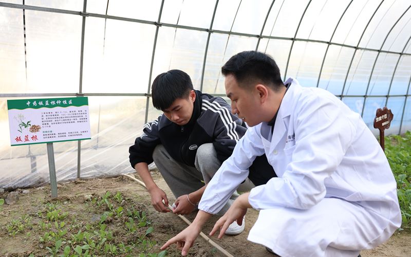 浙江建设职业技术学院开展特色劳动教育活动——师生共同栽种中草药